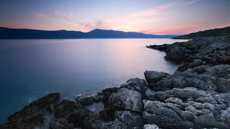 How To Log In To Cricbet99 Club Com Page?